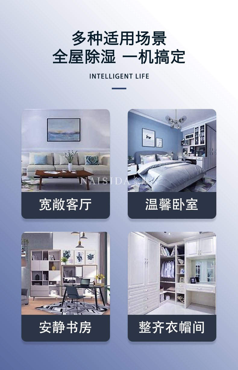 奈斯达除湿机10